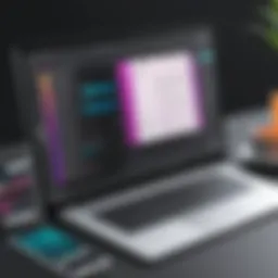 User interface showcasing Adobe XD's design tools