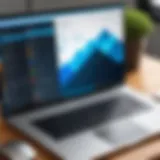 Remote desktop access interface on a laptop screen