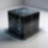Abstract representation of a black box network service