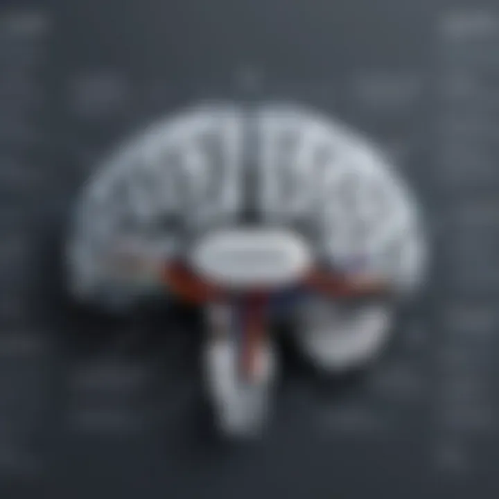 Diagram showcasing functionalities of grey matter software