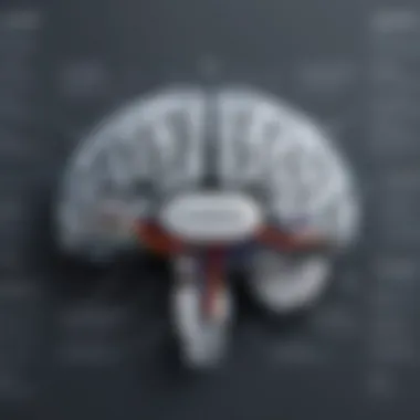 Key Functionalities of Grey Matter Software Diagram showcasing functionalities of grey matter software