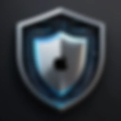 A digital shield representing macOS security features