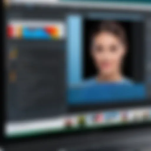 User interface of a popular watermark-free photo editing software