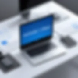 Overview of remote software functionalities