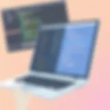 Exploring Scrivener Alternatives for Chromebook Users Introduction