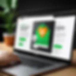 A detailed overview of GoDaddy's email subscription interface