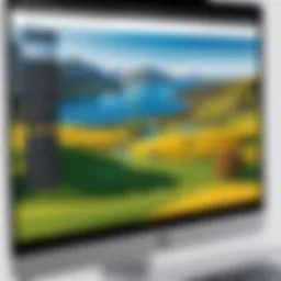 Detailed interface of landscape measuring software showcasing measurement tools
