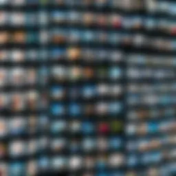 A collection of batch photos prepared for resizing