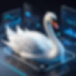 Swan Banking as a Service framework illustration