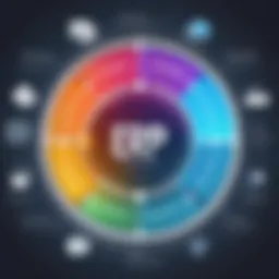 Visual representation of ERP system functionalities