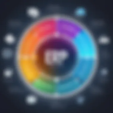 Visual representation of ERP system functionalities