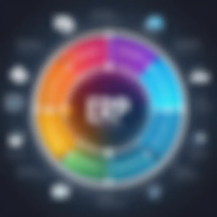 Visual representation of ERP system functionalities