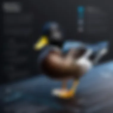 Best Practices for Black Duck Integration Infographic on best practices for integrating Black Duck